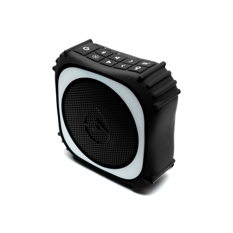 EcoXgear EcoEdge Pro 20-Watt RGB Waterproof Party Speaker - Black
